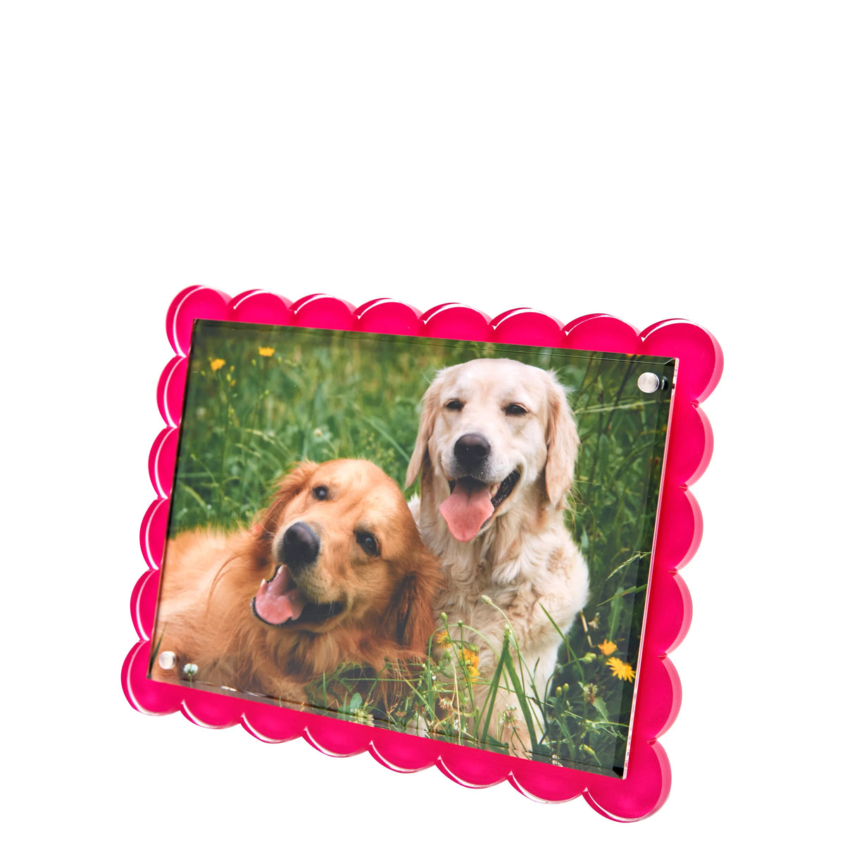 Pink Scalloped Frame